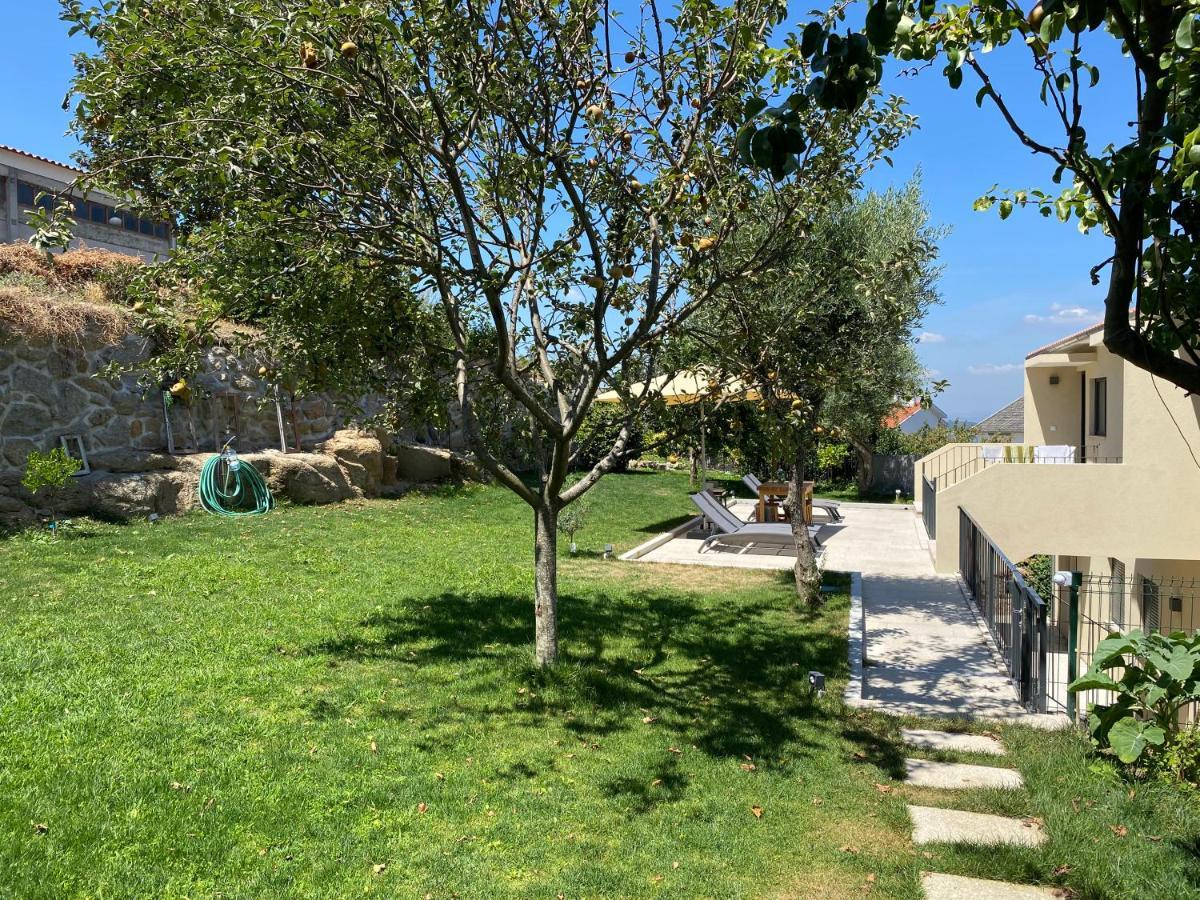 Casa Da Zefinha - Villa, Em Cinfaes, No Douro Dış mekan fotoğraf